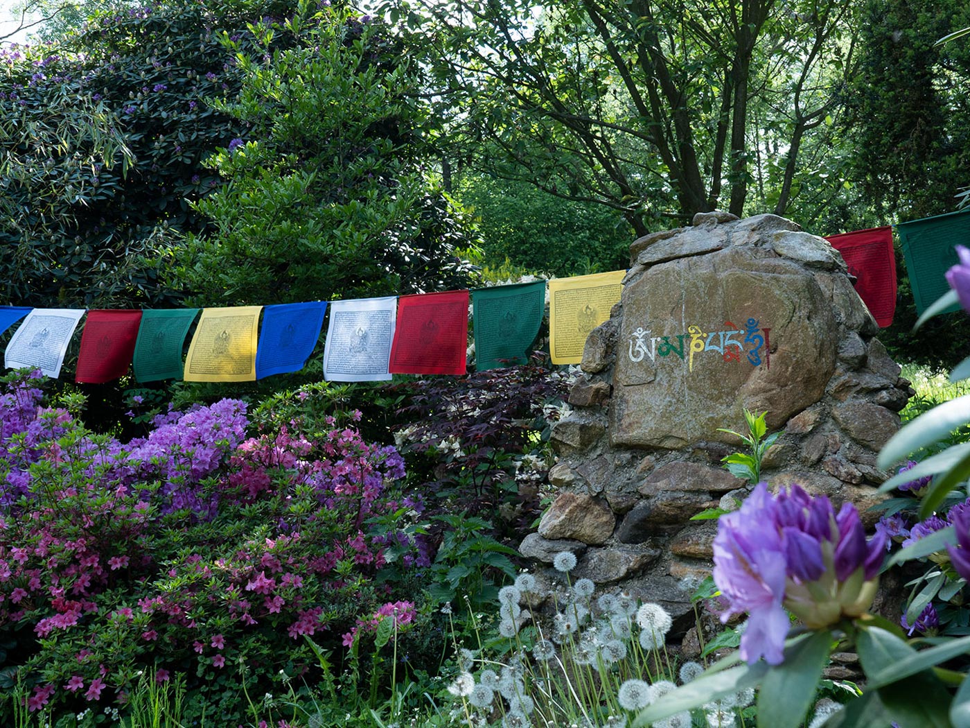 Whispers of the Himalayas: The Magic of Tibetan Prayer Flags and Lungtas