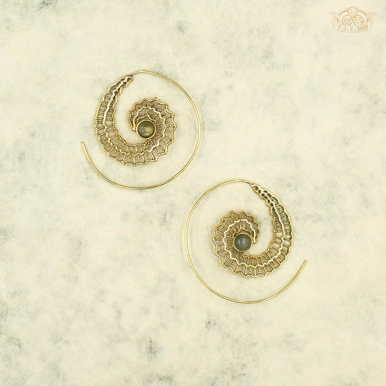 Feather Loops Indian Style Double-sided Spiral Earrings