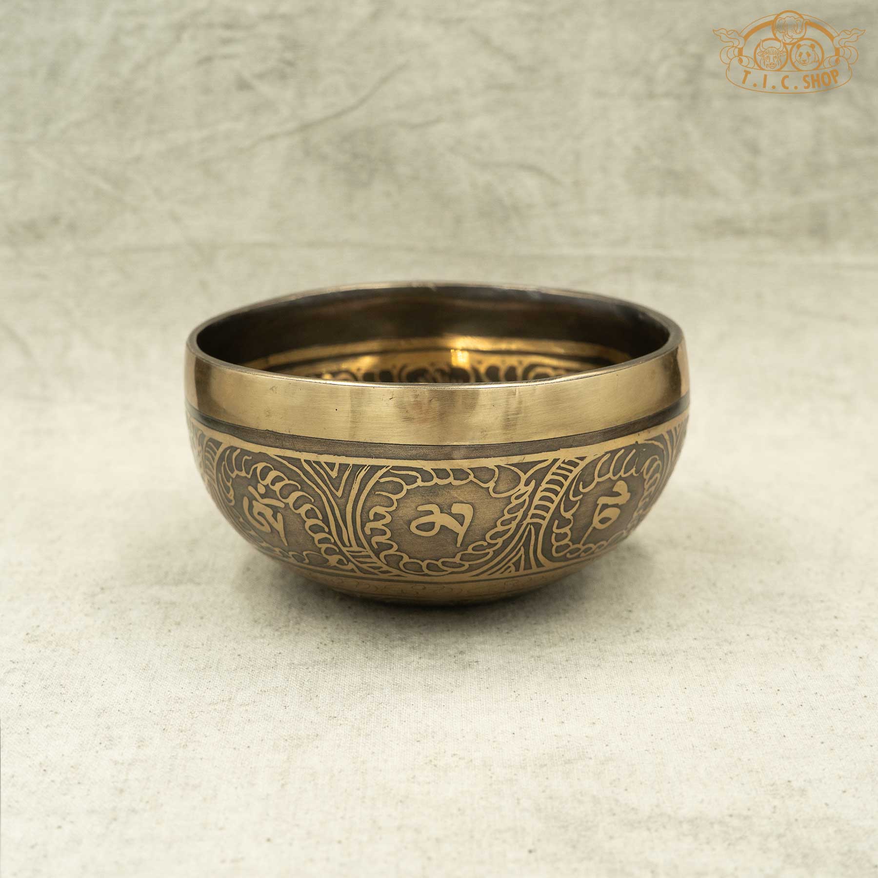 Side View of Buddha Eyes Brass Singing Bowl 11.5cm