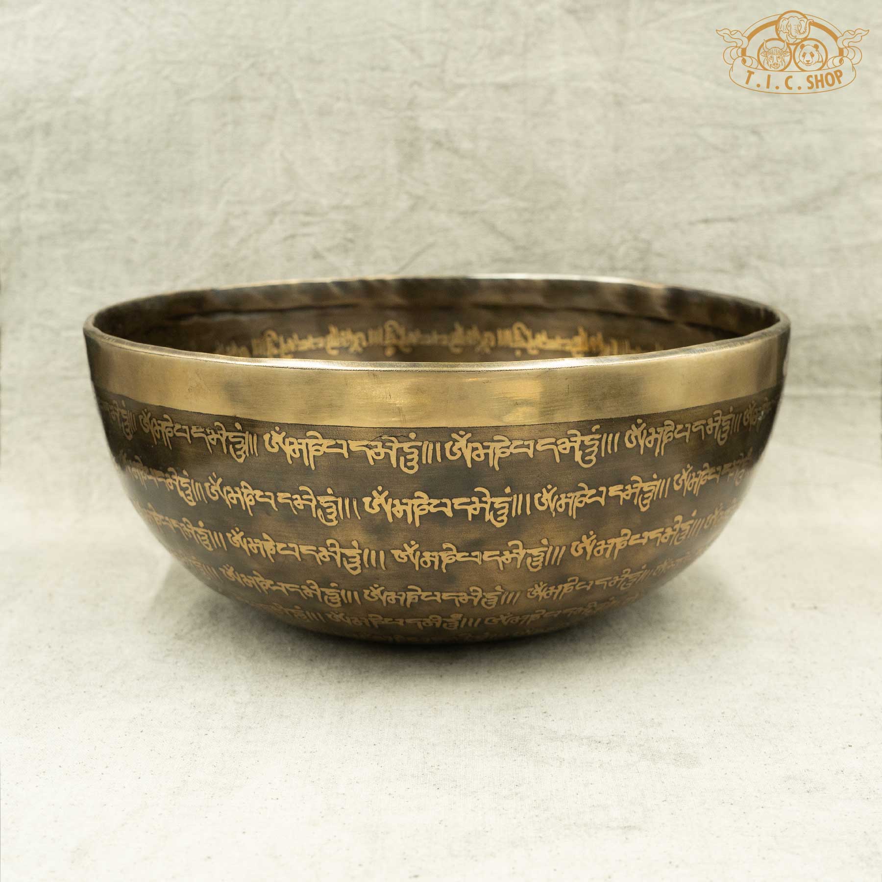 Side View of Shakyamuni Buddha Mantras Brass Singing Bowl 25cm