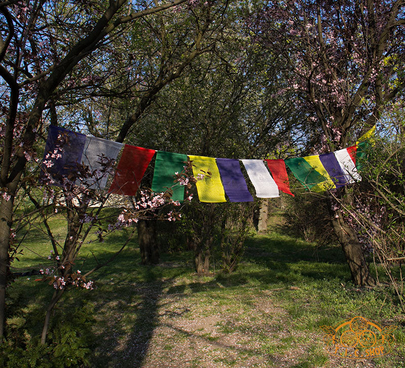 Tara Prayer Flags 4m