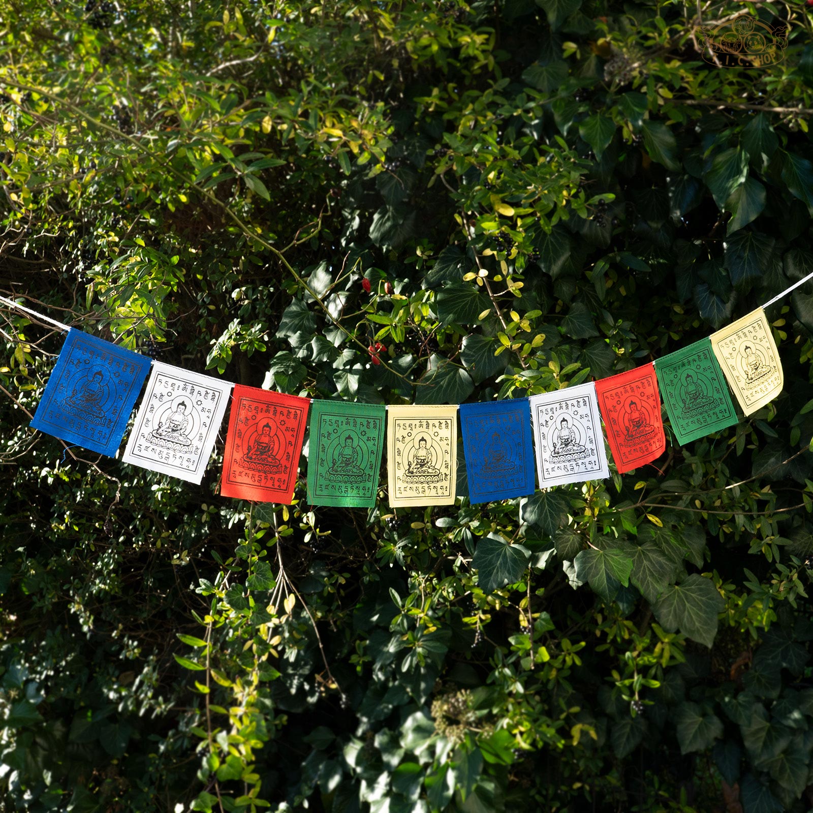 Medicine Buddha Prayer Flags 7x9cm, 0.75m