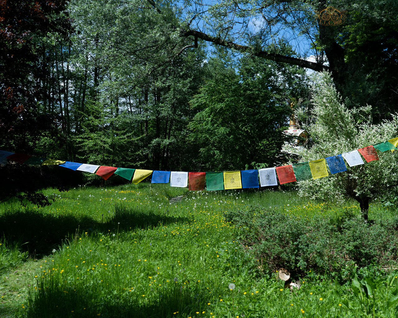 Hand-printed Tara Prayer Flags 8m
