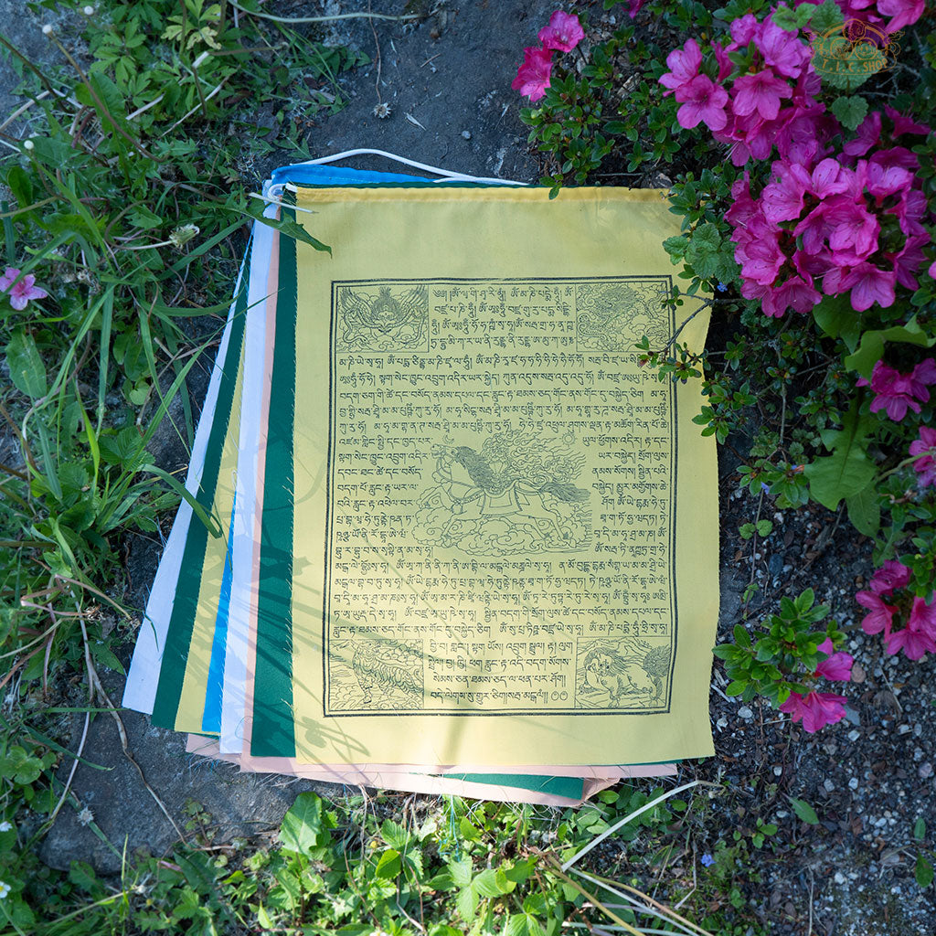 Set of 10 hand-printed cotton Windhorse prayer flags on a 4 m string, ideal for meditation and positive energy