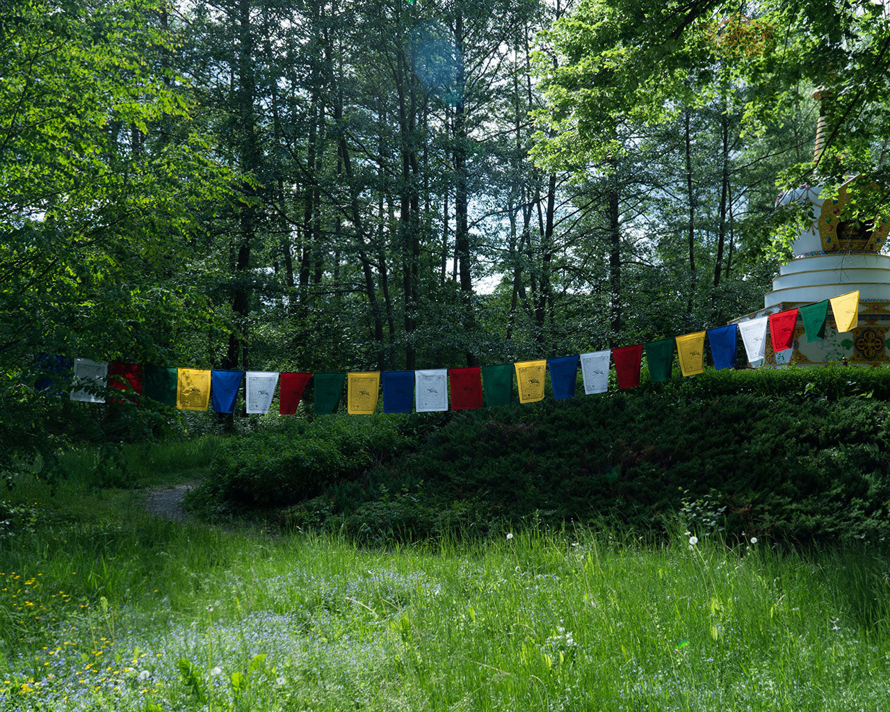 Hand-printed Tibetan Windhorse prayer flags 35x45 cm each, total 10 m, made from 100% cotton for outdoor spiritual blessings