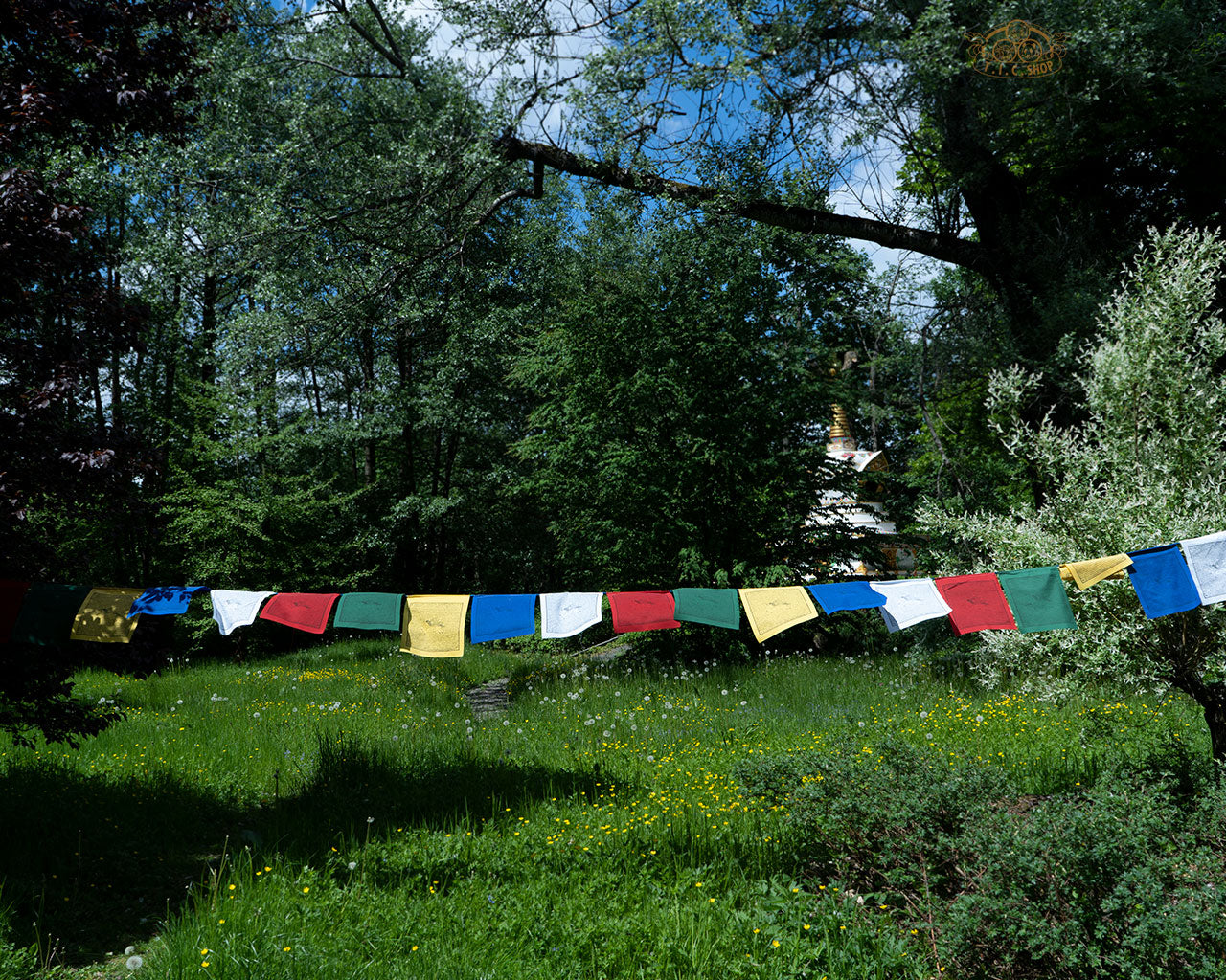 Long string of 25 hand-printed cotton Windhorse prayer flags 8 m, promoting harmony, peace, and positive energy