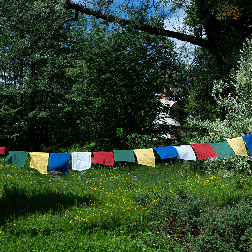 Hand-printed Tibetan Windhorse prayer flags 28x32 cm each, 8 m long, made of 100% cotton for outdoor display and spiritual blessings