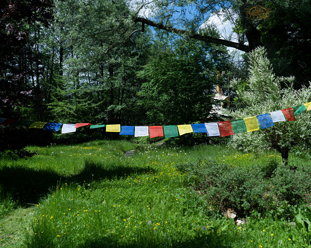 Hand-printed Tibetan Windhorse prayer flags 28x30 cm each, total 8 m, made from durable polyester for blessings and protection