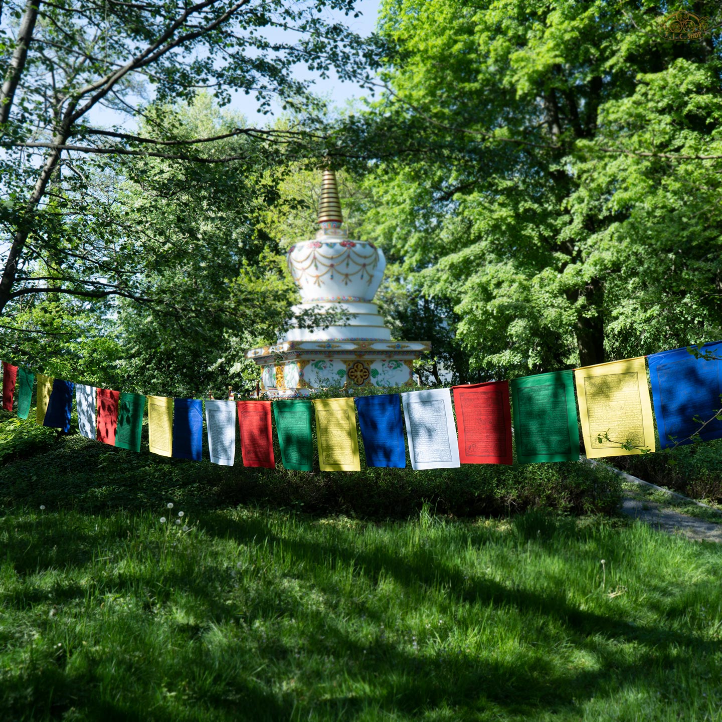 Colorful 10 m string of cotton Tibetan Windhorse prayer flags displaying traditional Tibetan symbols for spiritual well-being and blessings
