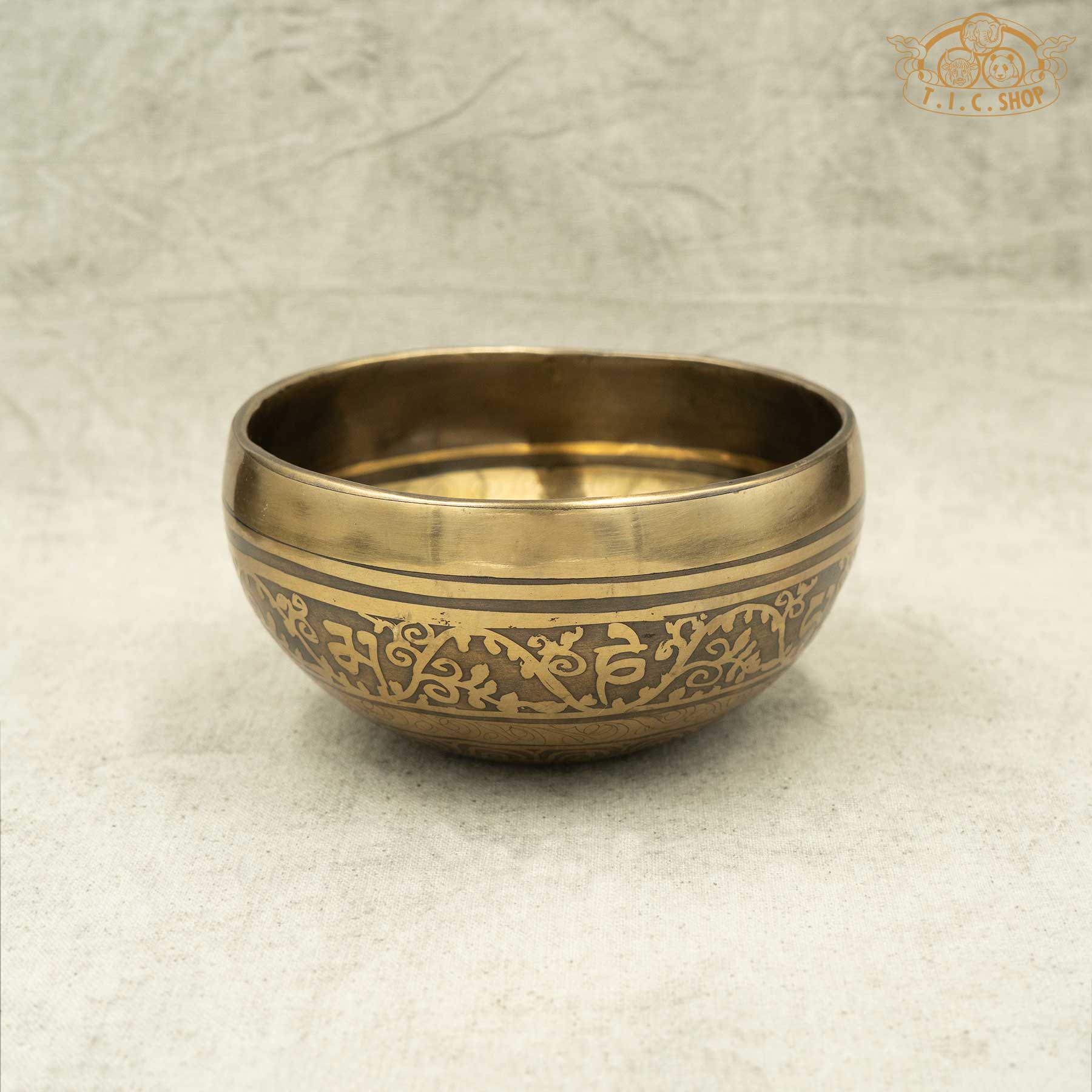 Side View of Conch Shell Brass Singing Bowl 11cm