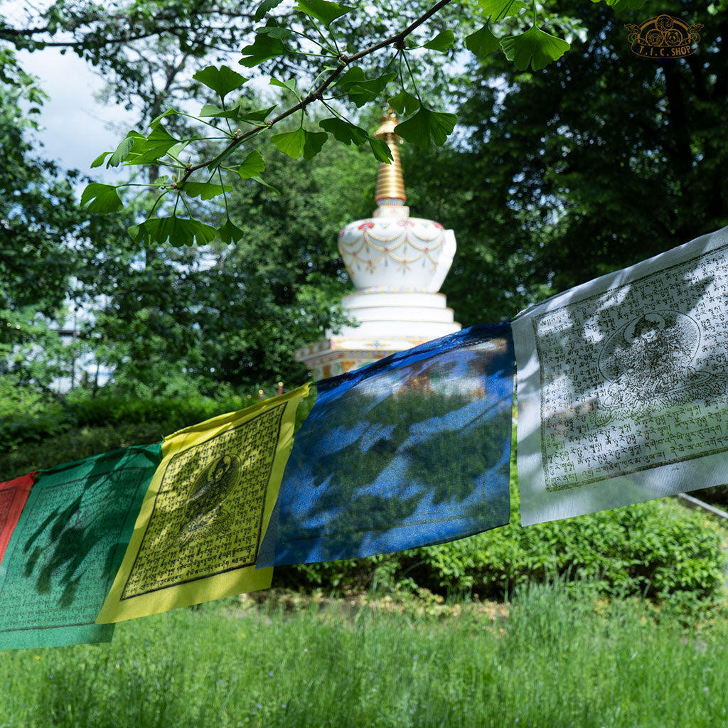 Hand-printed Tara Prayer Flags 6m