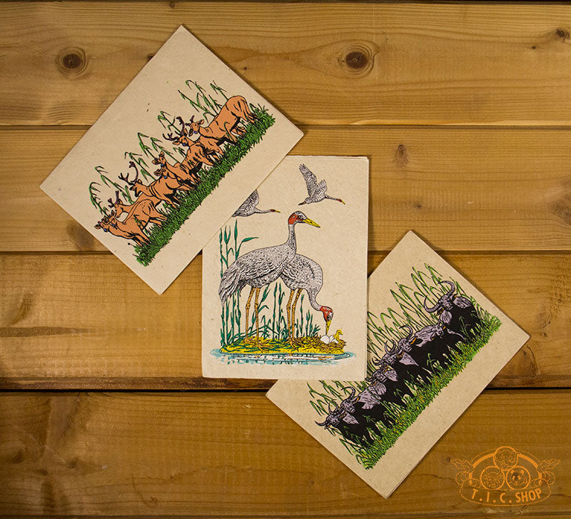 Save The Wildlife Greeting Cards Set