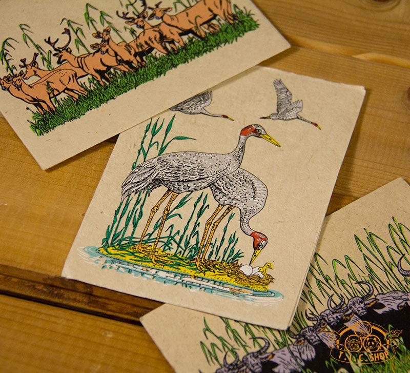 Save The Wildlife Greeting Cards Set