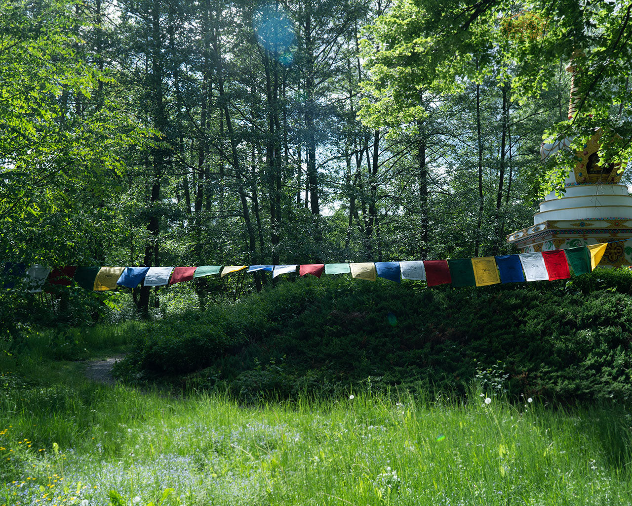 Long string of 25 hand-printed cotton Windhorse prayer flags, 10 m, enhancing positive energy and spiritual ambiance