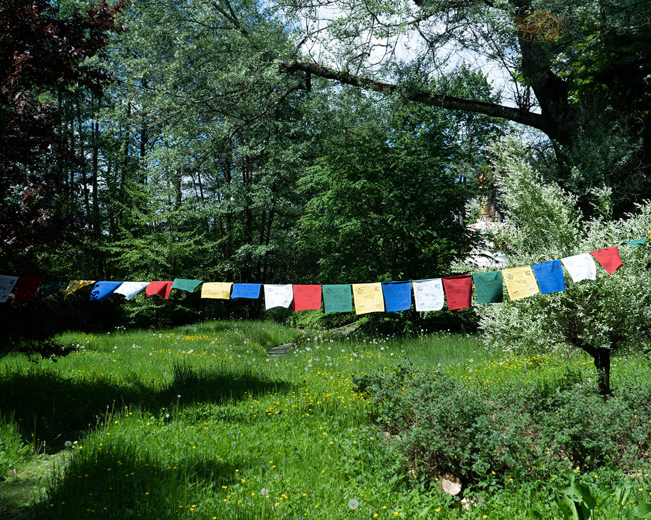 Hand-printed Tibetan Windhorse prayer flags 28x32 cm each, total 8 m, made from 100% cotton for spiritual blessings