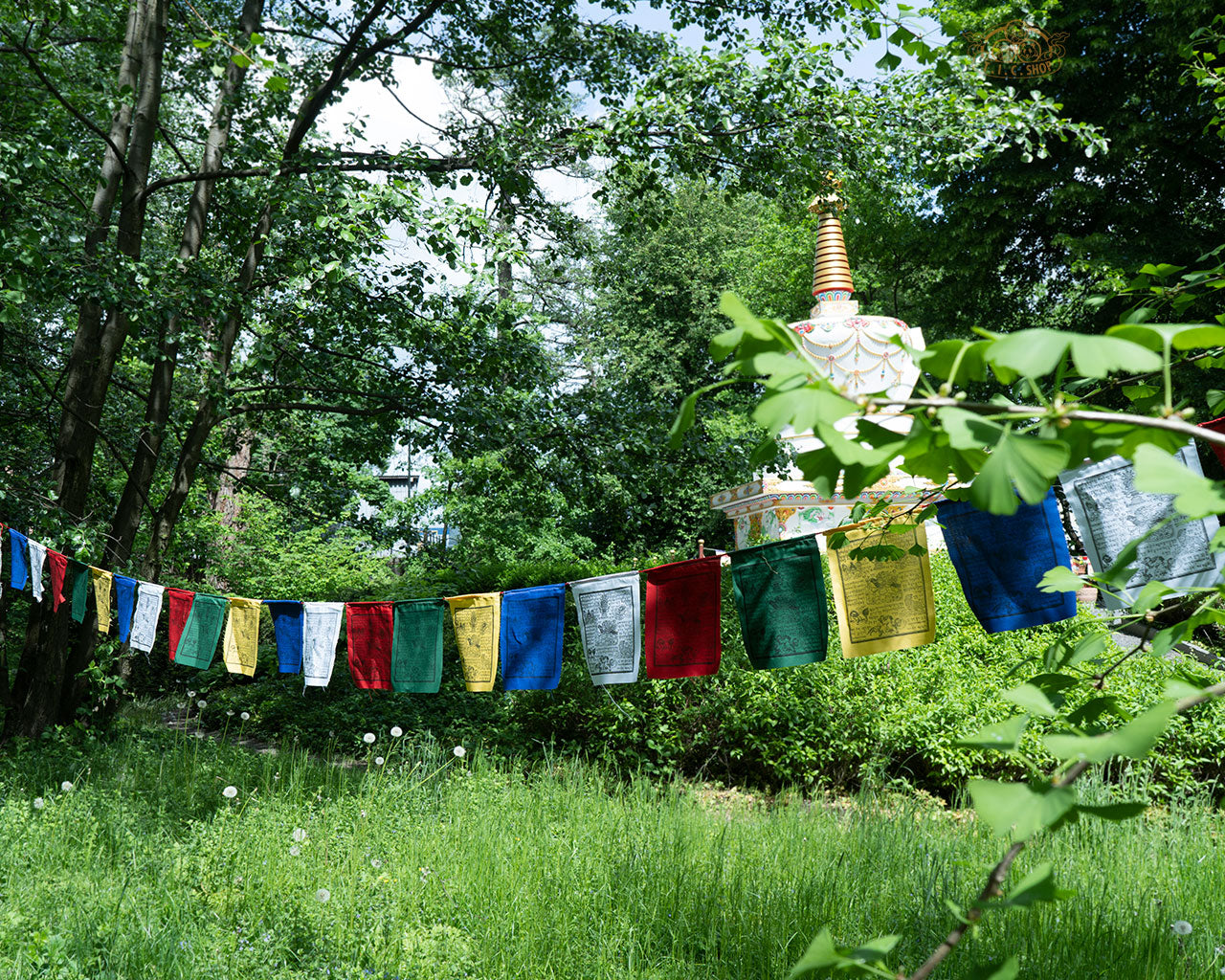 Set of 25 hand-printed cotton Windhorse prayer flags on a 6 m string for altar or outdoor display