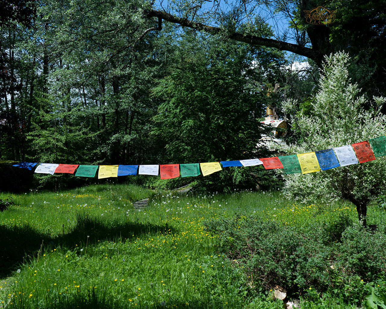 Long string of 25 hand-printed polyester Windhorse prayer flags, each 28x30 cm, enhancing spiritual harmony