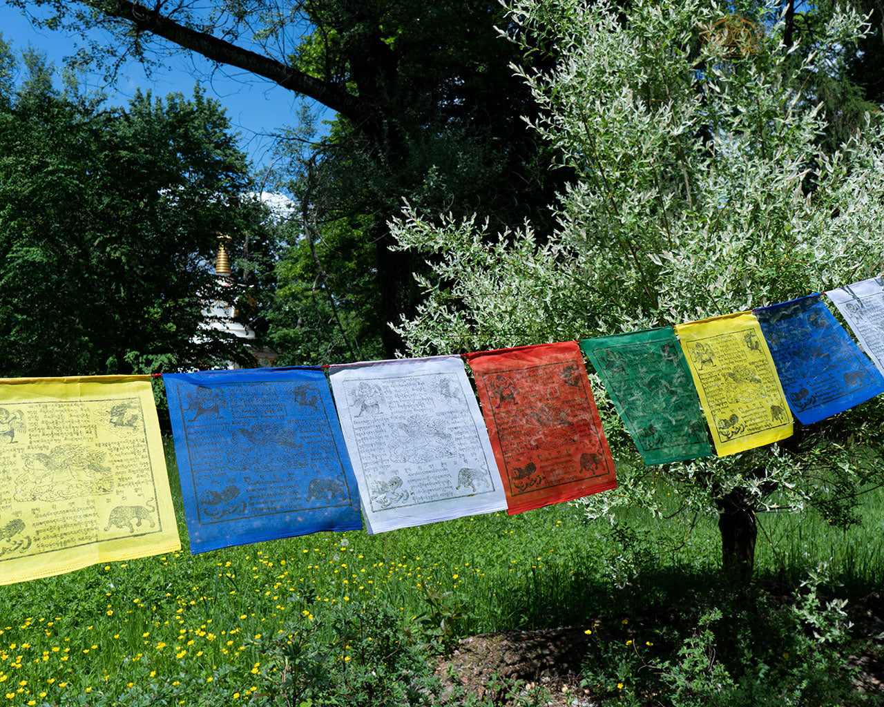 Set of 25 hand-printed polyester Windhorse prayer flags on an 8 m string, ideal for meditation and outdoor display