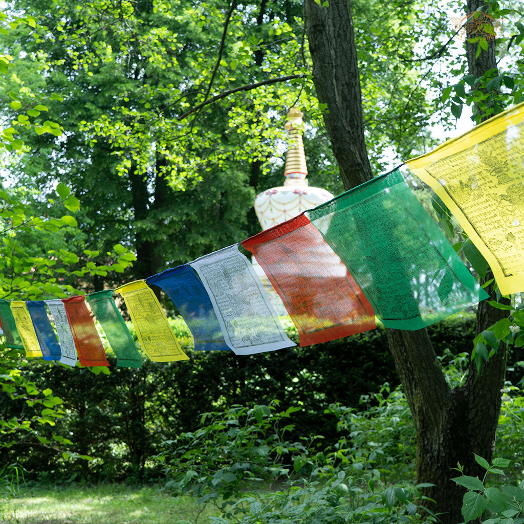 Hand-printed Tibetan Windhorse prayer flags 22x24 cm each, total 6 m, made from durable polyester for spiritual blessings