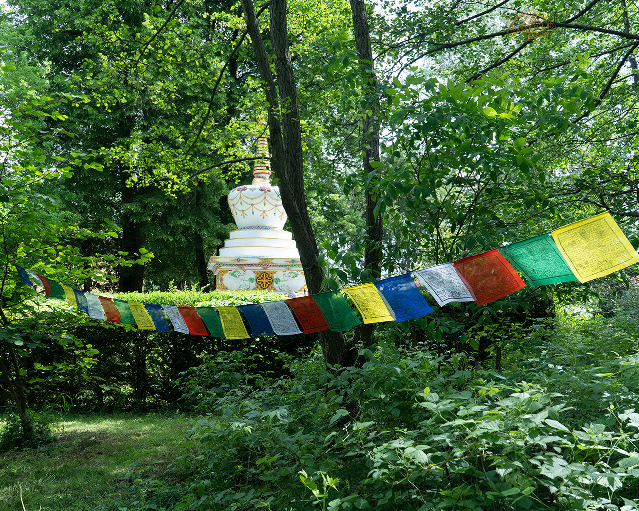 Detailed view of Tibetan Windhorse prayer flags showcasing vibrant traditional designs on polyester fabric