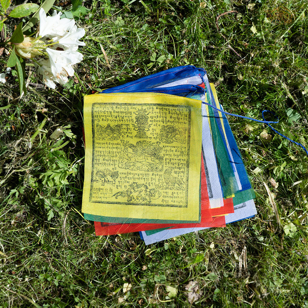 Long string of 25 hand-printed Windhorse prayer flags, each 22x24 cm, for spiritual harmony and luck