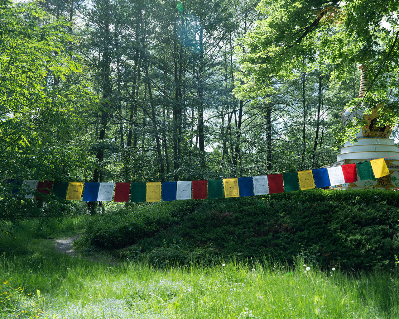 Hand-printed Tibetan Windhorse prayer flags 35x45 cm each, total 10 m, made from 100% cotton for spiritual blessings