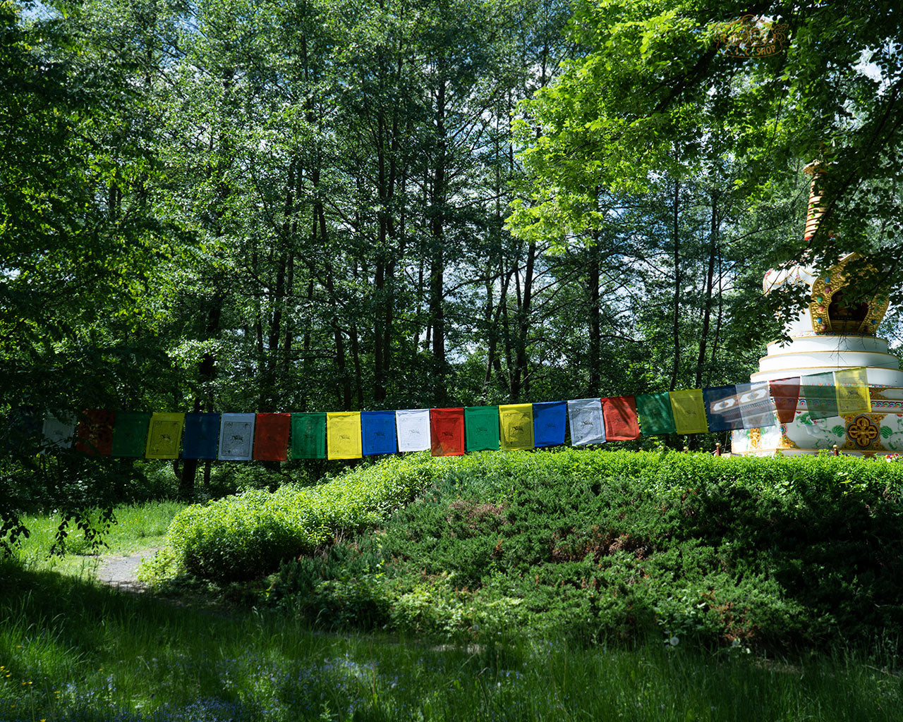 Hand-printed Tibetan Windhorse prayer flags 35x45 cm each, total 10 m, made from durable polyester for spiritual blessings