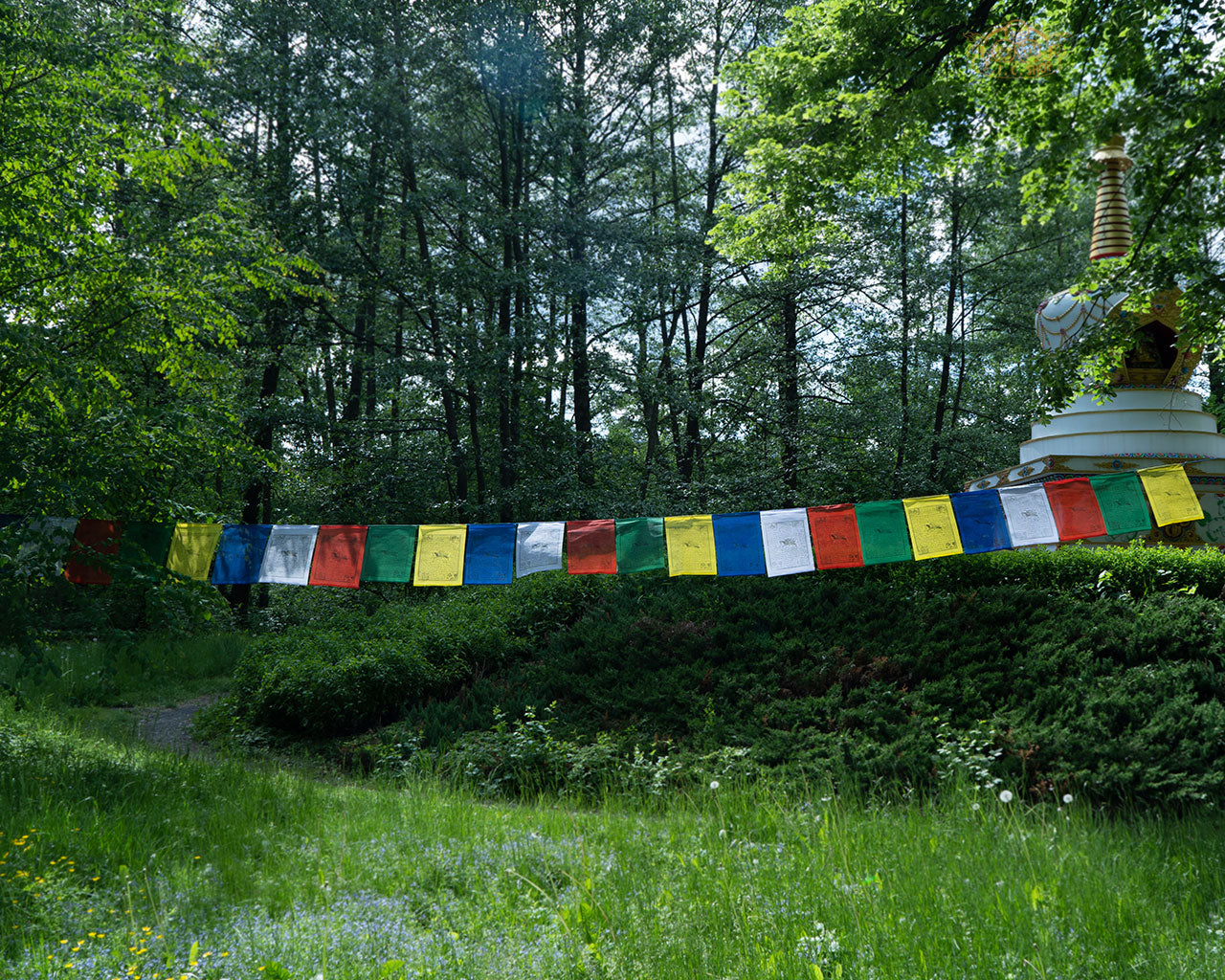 Vibrant hand-printed Tibetan Windhorse prayer flags, 10 m long, made of polyester with traditional auspicious symbols