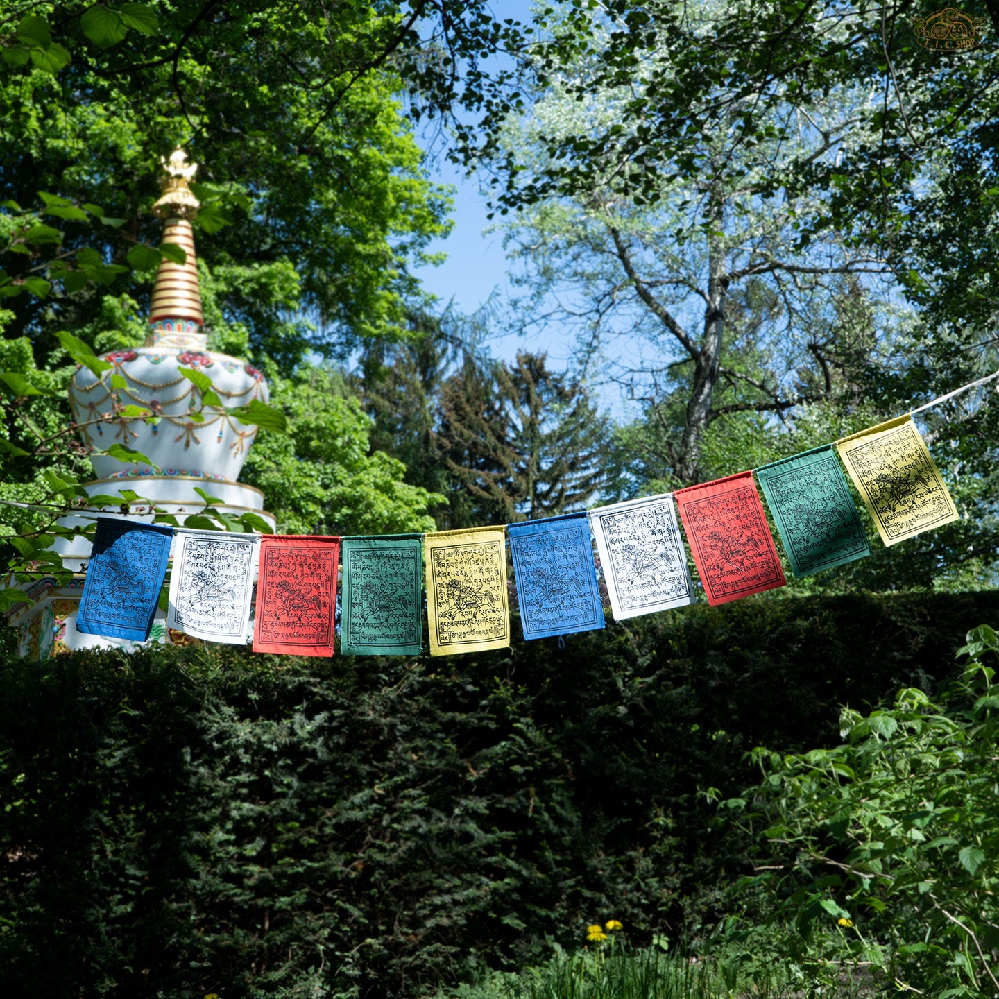 Set of hand-printed Tibetan Windhorse prayer flags hanging outdoors for meditation, luck, and harmony